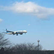 ヒメ日記 2025/01/24 17:11 投稿 綾瀬るる DEEPS成田店