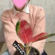 ヒメ日記 2025/01/30 02:25 投稿 綾瀬るる DEEPS成田店