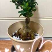 ヒメ日記 2025/06/10 20:45 投稿 綾瀬るる DEEPS成田店