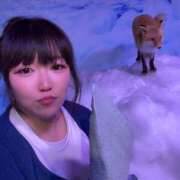 ヒメ日記 2025/01/17 13:05 投稿 環いろは DEEPS成田店