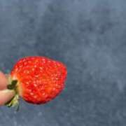 ヒメ日記 2025/01/24 17:02 投稿 環いろは DEEPS成田店