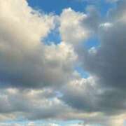 ヒメ日記 2025/06/18 13:45 投稿 鈴音りん DEEPS成田店