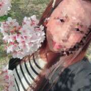 ヒメ日記 2025/04/08 10:05 投稿 松本みゆう DEEPS成田店