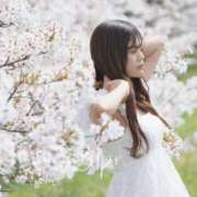 ヒメ日記 2026/03/17 14:48 投稿 真野みなみ AroMarquis（周南店）