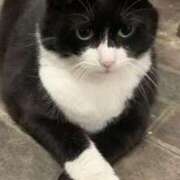 しおん 20時から🈳 マリン千姫