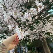 ヒメ日記 2025/04/10 12:36 投稿 ここあ マリン千姫