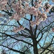 ヒメ日記 2025/04/12 18:13 投稿 ここあ マリン千姫