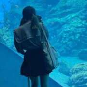 ヒメ日記 2025/07/15 17:56 投稿 ここあ マリン千姫