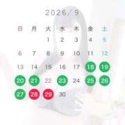 ヒメ日記 2026/09/15 21:02 投稿 星奈～HOSHINA～ BBW大宮店