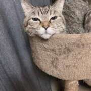 ヒメ日記 2025/03/13 20:59 投稿 青菜（あおな） 熟女の風俗最終章 大宮店