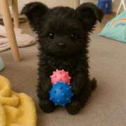 ヒメ日記 2025/04/10 19:49 投稿 青菜（あおな） 熟女の風俗最終章 大宮店