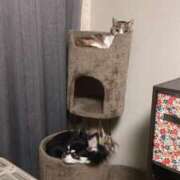 ヒメ日記 2025/04/16 20:25 投稿 青菜（あおな） 熟女の風俗最終章 大宮店