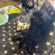 ヒメ日記 2025/04/23 11:35 投稿 青菜（あおな） 熟女の風俗最終章 大宮店