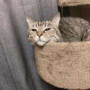 ヒメ日記 2025/04/24 14:05 投稿 青菜（あおな） 熟女の風俗最終章 大宮店