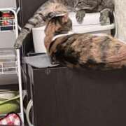 ヒメ日記 2025/04/30 13:10 投稿 青菜（あおな） 熟女の風俗最終章 大宮店