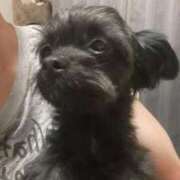 ヒメ日記 2025/05/01 13:45 投稿 青菜（あおな） 熟女の風俗最終章 大宮店