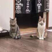 ヒメ日記 2025/05/03 18:05 投稿 青菜（あおな） 熟女の風俗最終章 大宮店