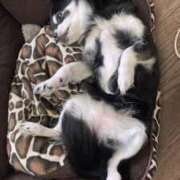 ヒメ日記 2025/05/04 10:47 投稿 青菜（あおな） 熟女の風俗最終章 大宮店