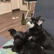 ヒメ日記 2025/05/08 21:35 投稿 青菜（あおな） 熟女の風俗最終章 大宮店