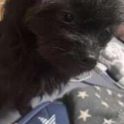 ヒメ日記 2025/05/20 11:25 投稿 青菜（あおな） 熟女の風俗最終章 大宮店