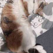 ヒメ日記 2025/05/28 09:56 投稿 青菜（あおな） 熟女の風俗最終章 大宮店