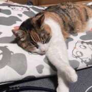 ヒメ日記 2025/06/04 11:25 投稿 青菜（あおな） 熟女の風俗最終章 大宮店