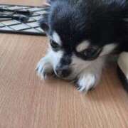 ヒメ日記 2025/06/23 14:55 投稿 青菜（あおな） 熟女の風俗最終章 大宮店