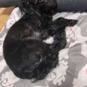 ヒメ日記 2025/08/01 21:15 投稿 青菜（あおな） 熟女の風俗最終章 大宮店