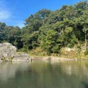 ヒメ日記 2025/09/10 15:05 投稿 青菜（あおな） 熟女の風俗最終章 大宮店