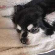 ヒメ日記 2025/09/12 21:29 投稿 青菜（あおな） 熟女の風俗最終章 大宮店