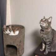 ヒメ日記 2025/09/25 10:48 投稿 青菜（あおな） 熟女の風俗最終章 大宮店