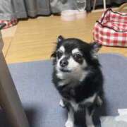 ヒメ日記 2025/09/27 10:35 投稿 青菜（あおな） 熟女の風俗最終章 大宮店