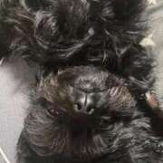 ヒメ日記 2025/10/11 00:35 投稿 青菜（あおな） 熟女の風俗最終章 大宮店