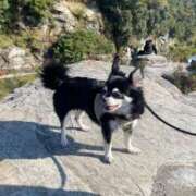 ヒメ日記 2025/11/01 12:19 投稿 青菜（あおな） 熟女の風俗最終章 大宮店