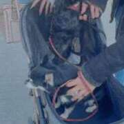 ヒメ日記 2025/11/19 18:05 投稿 青菜（あおな） 熟女の風俗最終章 大宮店