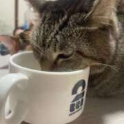 ヒメ日記 2025/11/30 21:15 投稿 青菜（あおな） 熟女の風俗最終章 大宮店