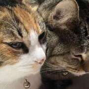 青菜（あおな） 朝まで！ 熟女の風俗最終章 大宮店