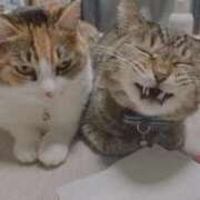 ヒメ日記 2025/12/17 18:25 投稿 青菜（あおな） 熟女の風俗最終章 大宮店