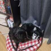 ヒメ日記 2025/12/19 21:35 投稿 青菜（あおな） 熟女の風俗最終章 大宮店