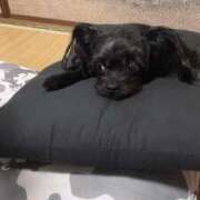 ヒメ日記 2025/12/28 18:05 投稿 青菜（あおな） 熟女の風俗最終章 大宮店