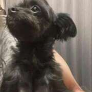 ヒメ日記 2026/01/07 18:15 投稿 青菜（あおな） 熟女の風俗最終章 大宮店