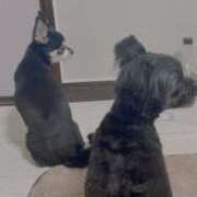 ヒメ日記 2026/01/23 16:15 投稿 青菜（あおな） 熟女の風俗最終章 大宮店