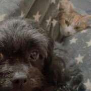 ヒメ日記 2026/01/24 15:42 投稿 青菜（あおな） 熟女の風俗最終章 大宮店