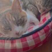 ヒメ日記 2026/02/28 16:39 投稿 青菜（あおな） 熟女の風俗最終章 大宮店