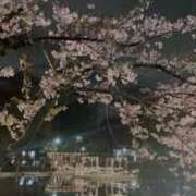 ヒメ日記 2026/04/05 18:18 投稿 青菜（あおな） 熟女の風俗最終章 大宮店