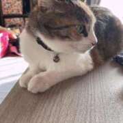 ヒメ日記 2026/04/07 18:05 投稿 青菜（あおな） 熟女の風俗最終章 大宮店