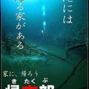 ヒメ日記 2024/03/25 10:36 投稿 かえで ご近所物語