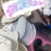 ヒメ日記 2025/01/12 11:08 投稿 みわ ご近所物語