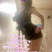 ヒメ日記 2025/02/12 10:43 投稿 みわ ご近所物語