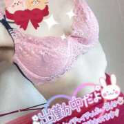 ヒメ日記 2025/02/22 13:35 投稿 みわ ご近所物語